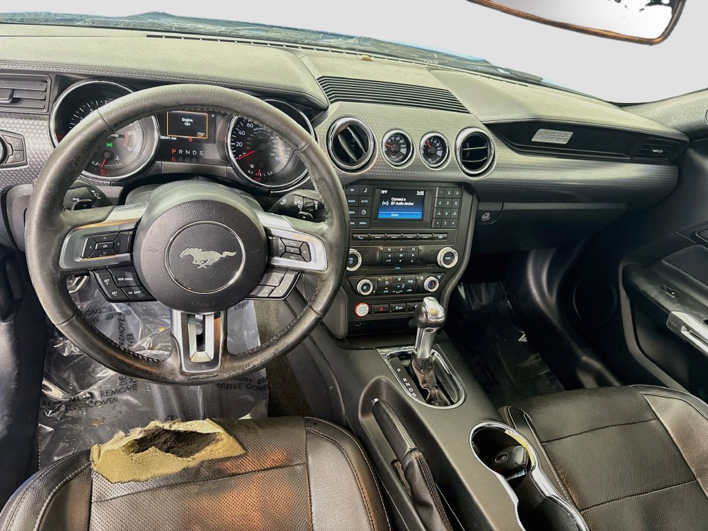 Used 2017 Grabber Blue Ford EcoBoost image 13
