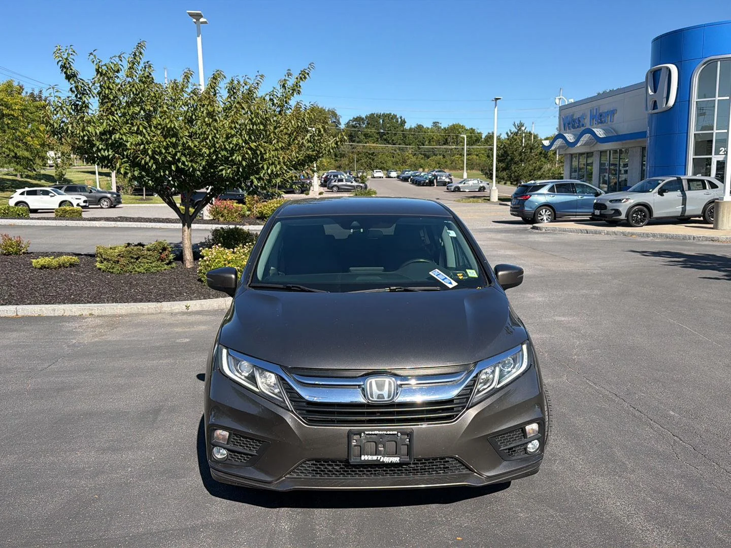 Used 2019 Pacific Pewter Metallic Honda EX image 2