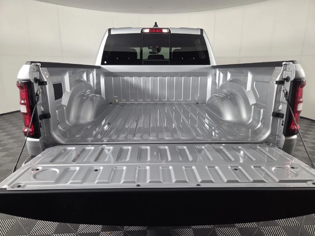 New 2026 Silver Zynith Exterior Paint RAM Express image 20