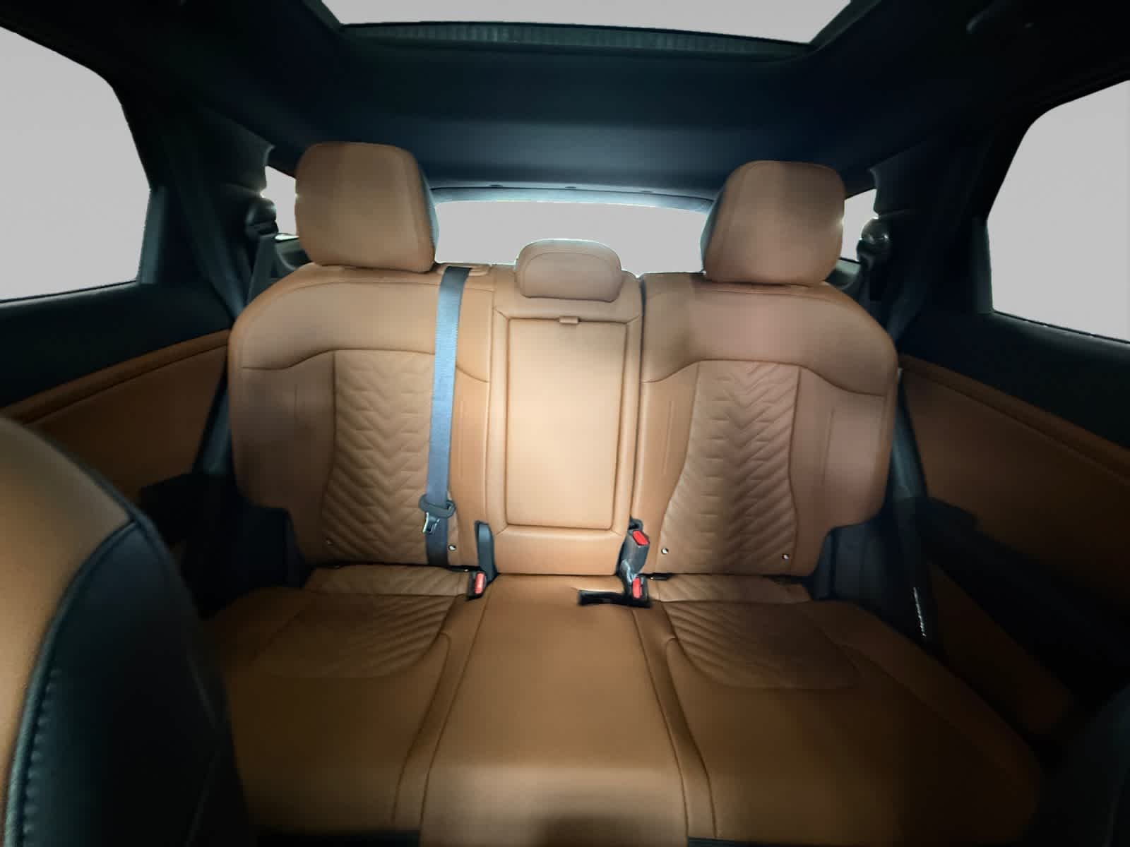 New 2026 Fusion Black Kia X-Line image 22