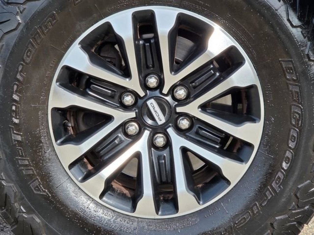 2019 Ford F-150 Raptor - Photo 18