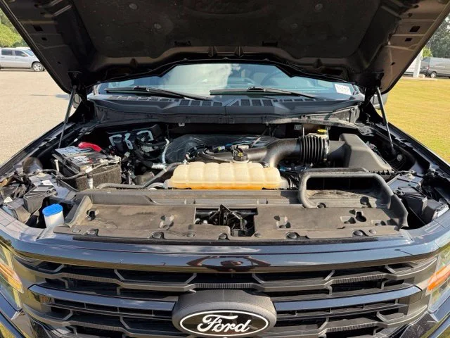 Used 2024 Black Ford XLT image 31