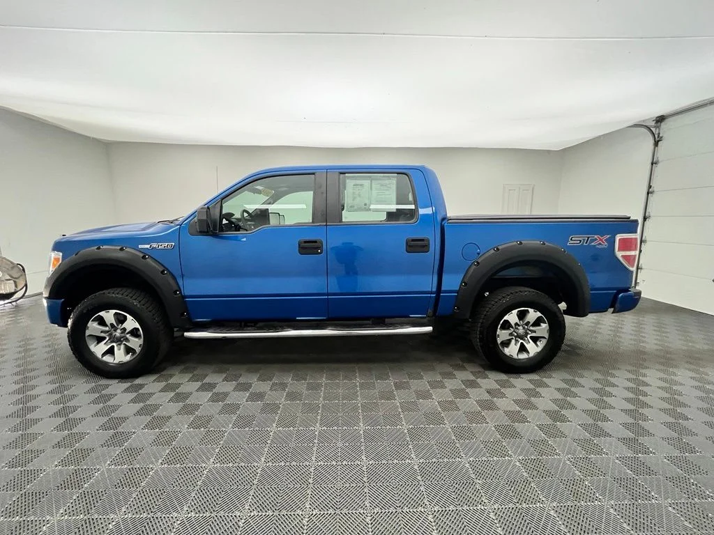 Used 2014 Blue Ford STX image 11