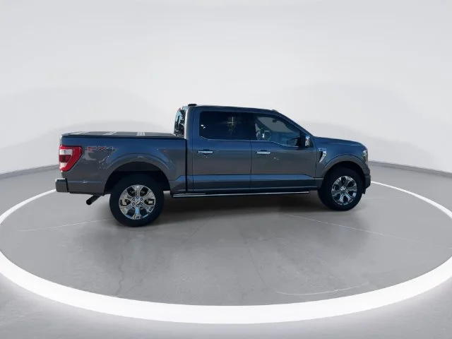 Used 2021 Gray Ford Platinum image 7