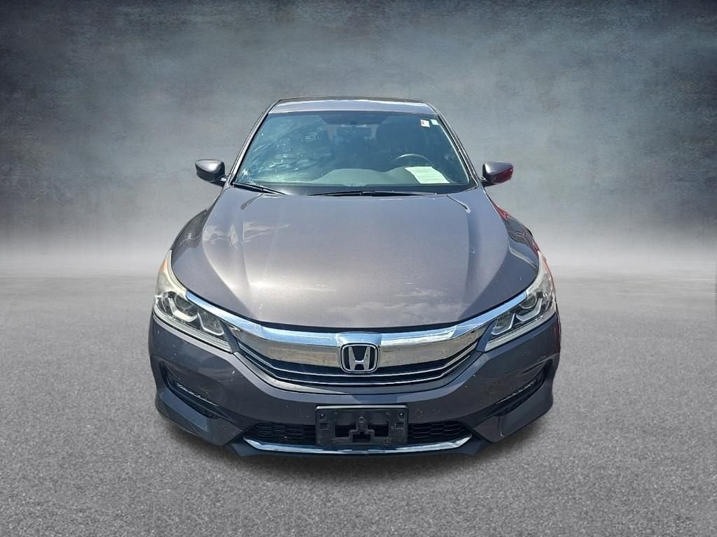 Used 2017 Modern Steel Metallic Honda Sport image 3