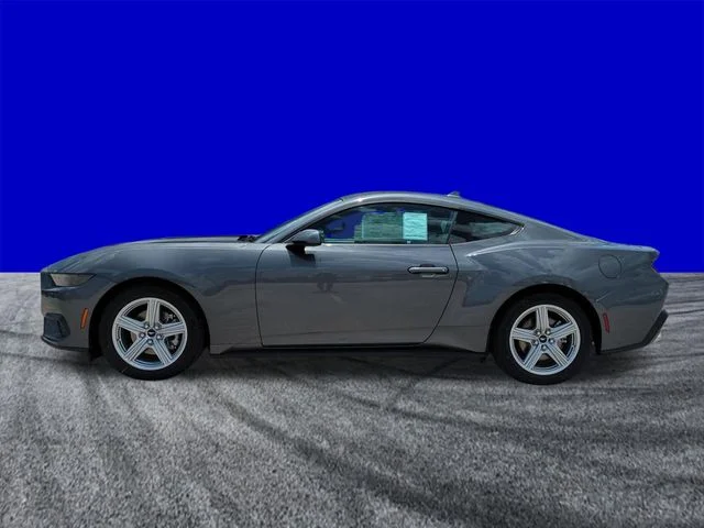 New 2026 Gray Ford EcoBoost image 7
