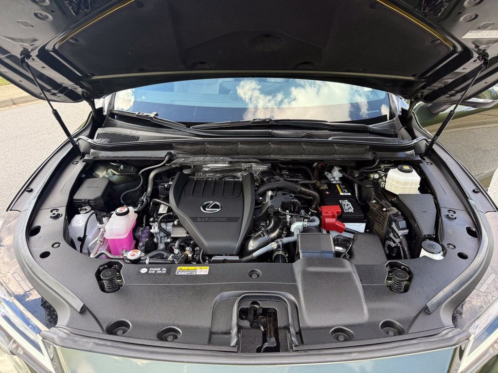 2025 Lexus RX 350 - Photo 18
