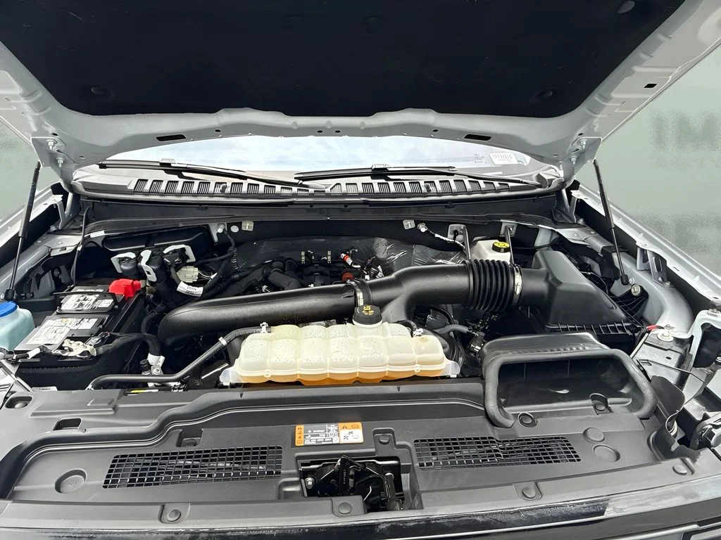 Used 2025 Silver Ford Active image 18