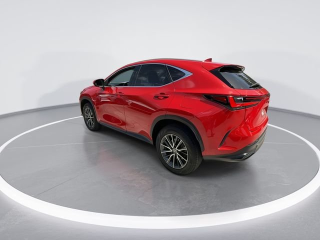 2023 Lexus NX 250 - Photo 6
