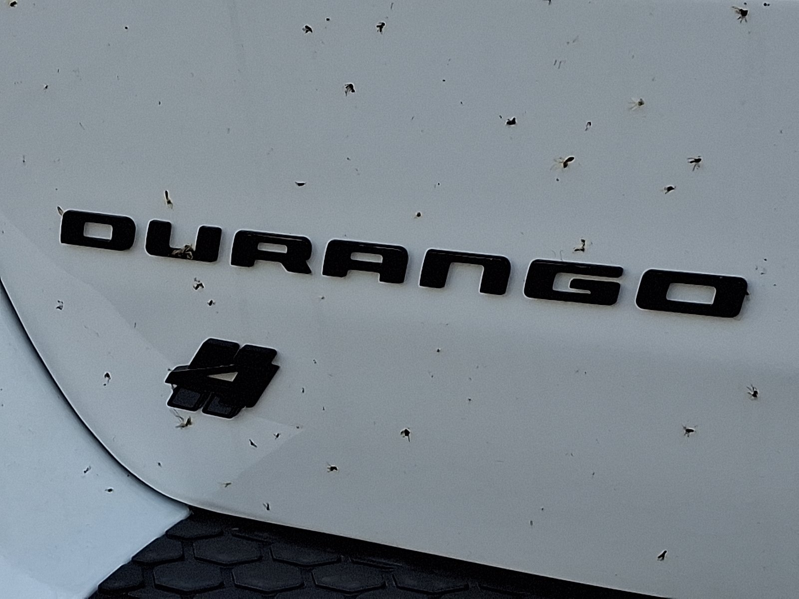 New 2026 White Knuckle Clear-Coat Exterior Paint Dodge GT Plus AWD image 16