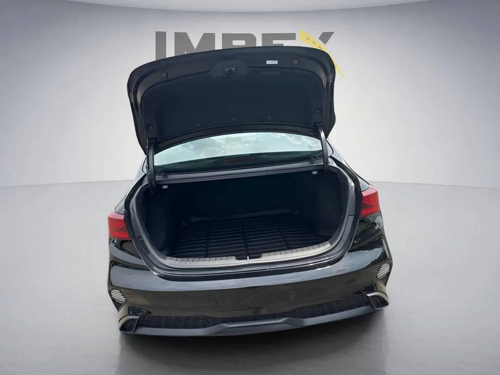 Used 2024  Kia LXS image 25