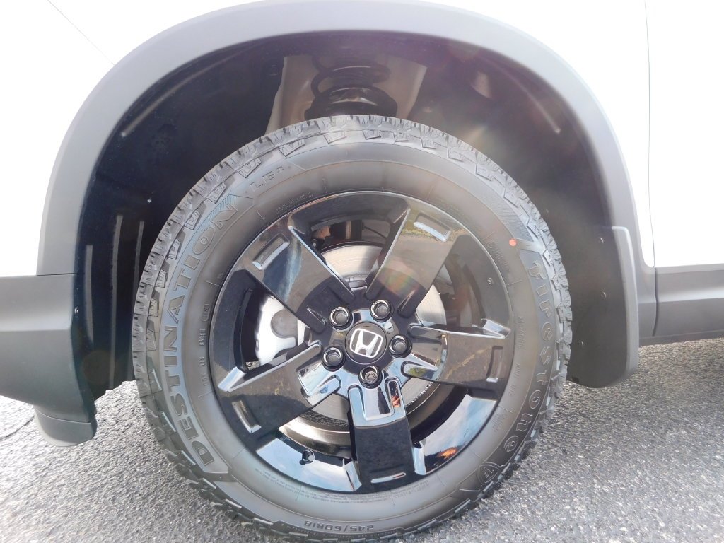 New 2026 Platinum White Pearl Honda Black Edition image 13