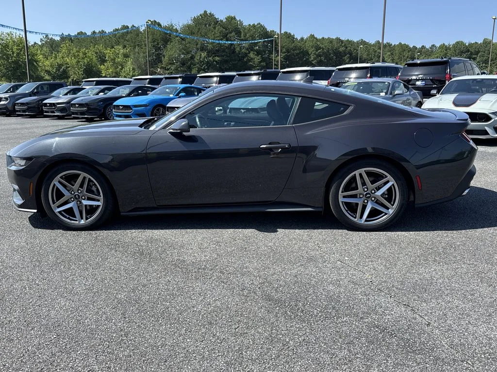 Used 2024 Gray Ford EcoBoost Premium image 4
