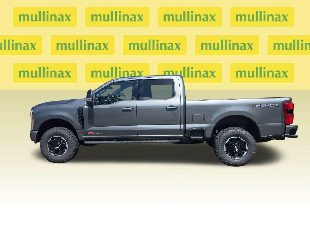 New 2026 Gray Ford Platinum image 9