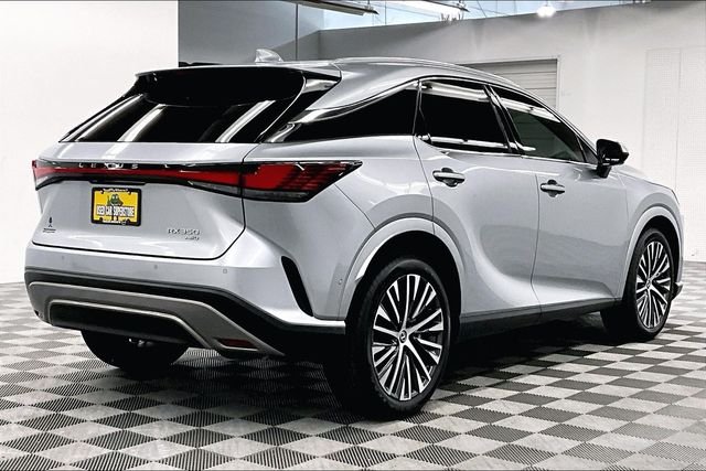 2023 Lexus RX 350 - Photo 13