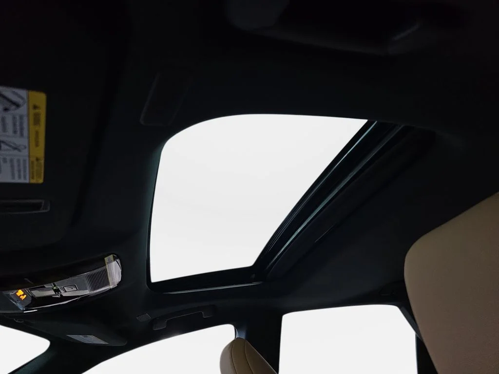 New 2026 Iridium Lexus PREMIUM image 28