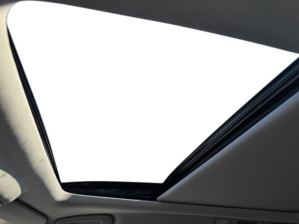 New 2026 Everest White Pearl TriCoat Nissan Platinum image 17