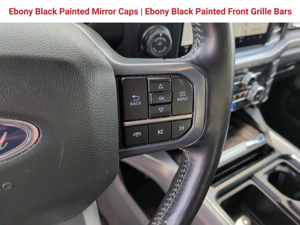 Used 2024 Silver Ford Lariat image 22