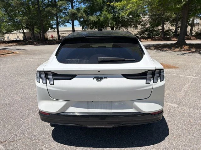 Used 2023 White Ford Premium image 4