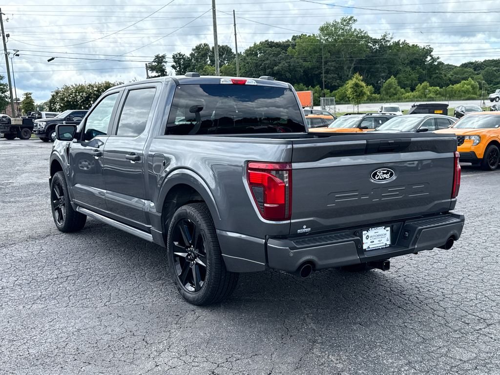 New 2026 Gray Ford STX image 5