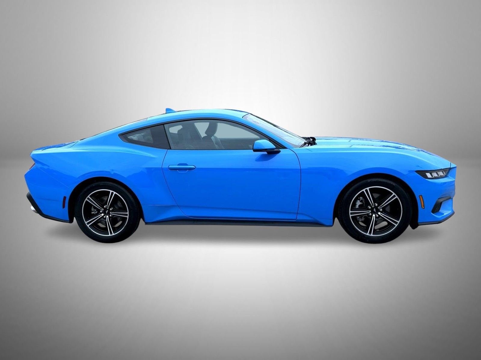 Used 2024 Blue Ford EcoBoost Premium image 4