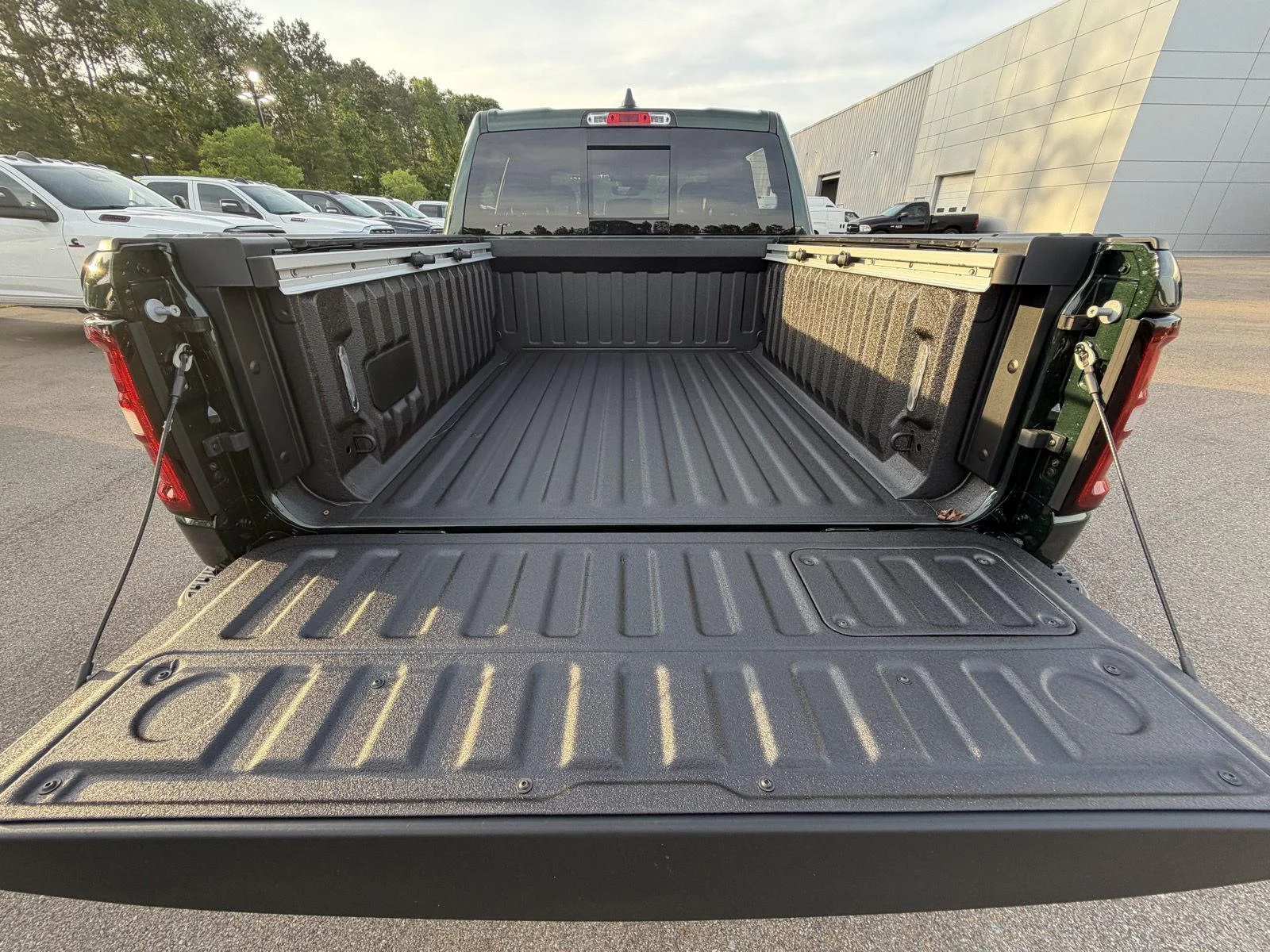 New 2026 Serrano-Green Metallic Exterior Paint RAM Rebel image 20