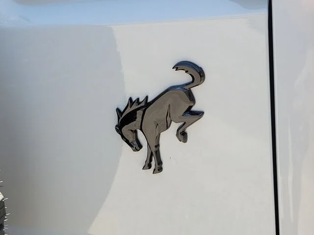 New 2026 Avalanche Gray Ford Outer Banks® image 5