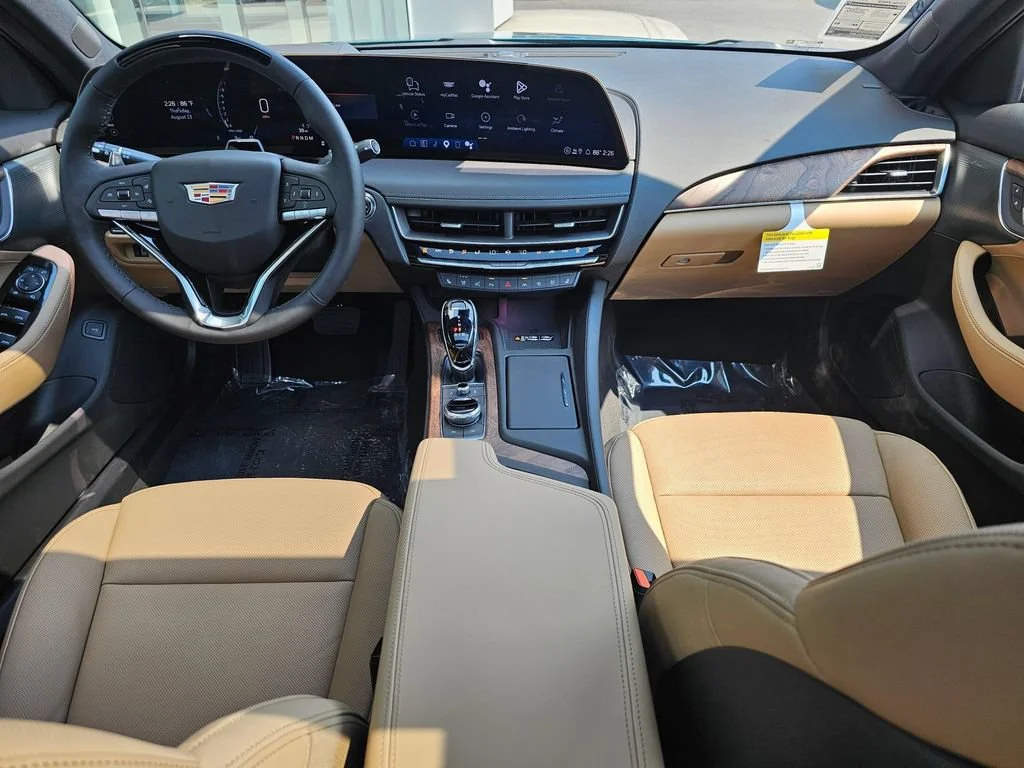 New 2026 Typhoon Metallic Cadillac Premium Luxury image 17