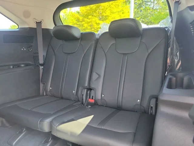New 2026 Ebony Black Kia SX image 10