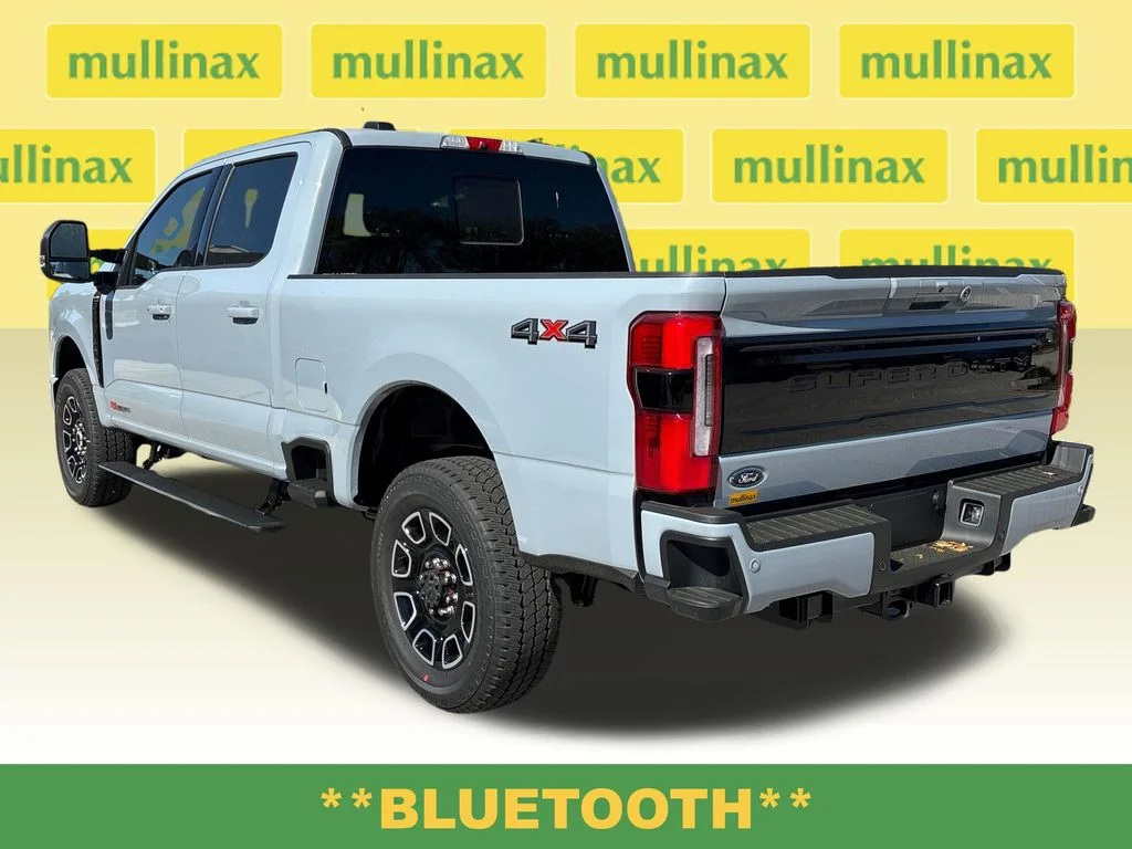New 2026 Gray Ford Platinum image 11