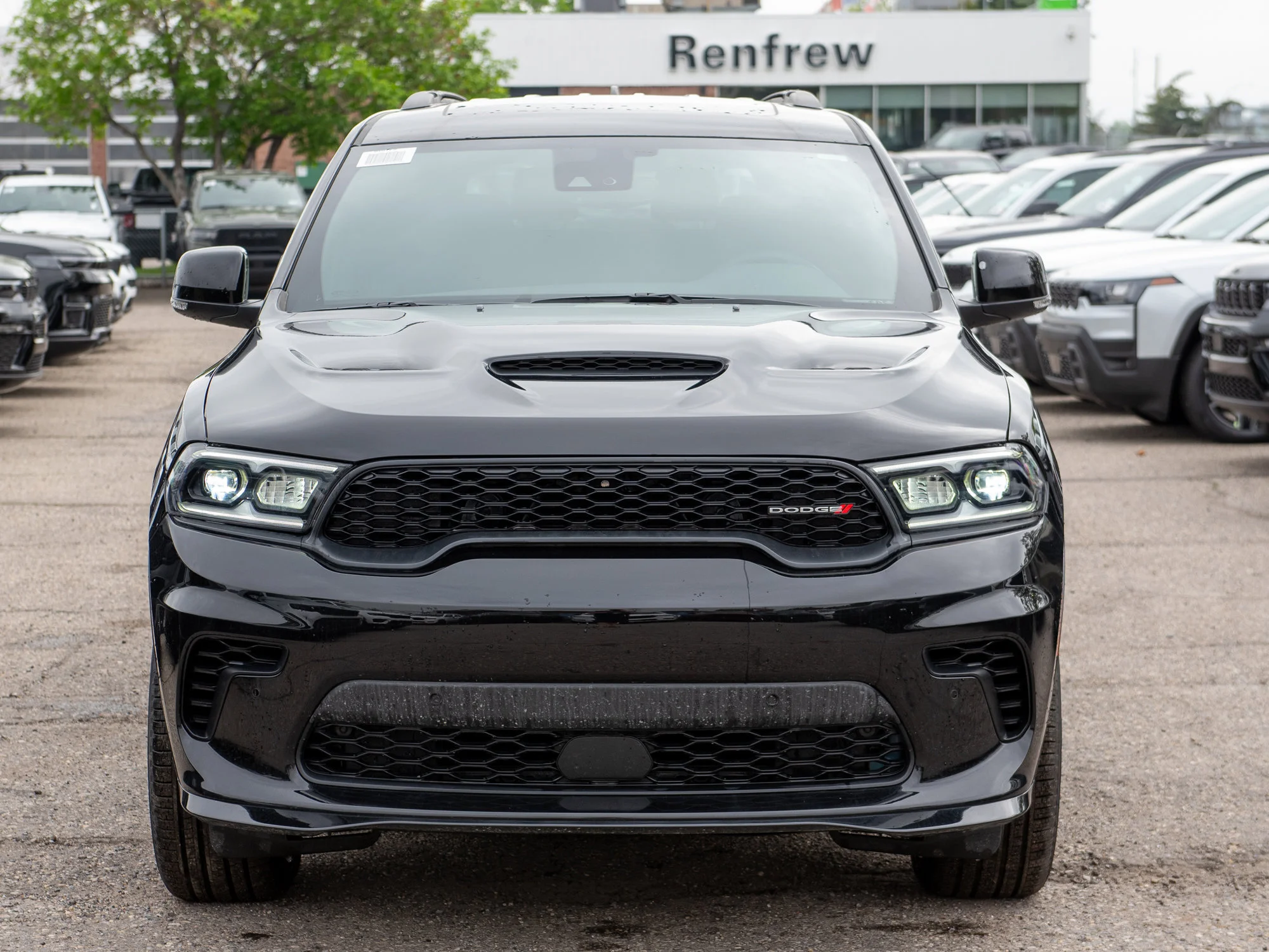 New 2026 Black Dodge GT Plus* image 7
