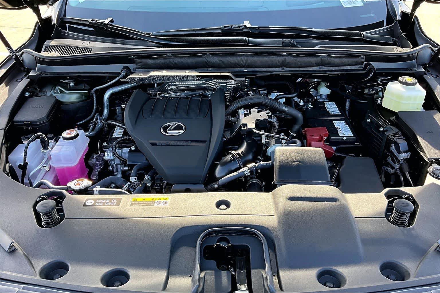 2026 Lexus RX 350 Premium Plus - Photo 16