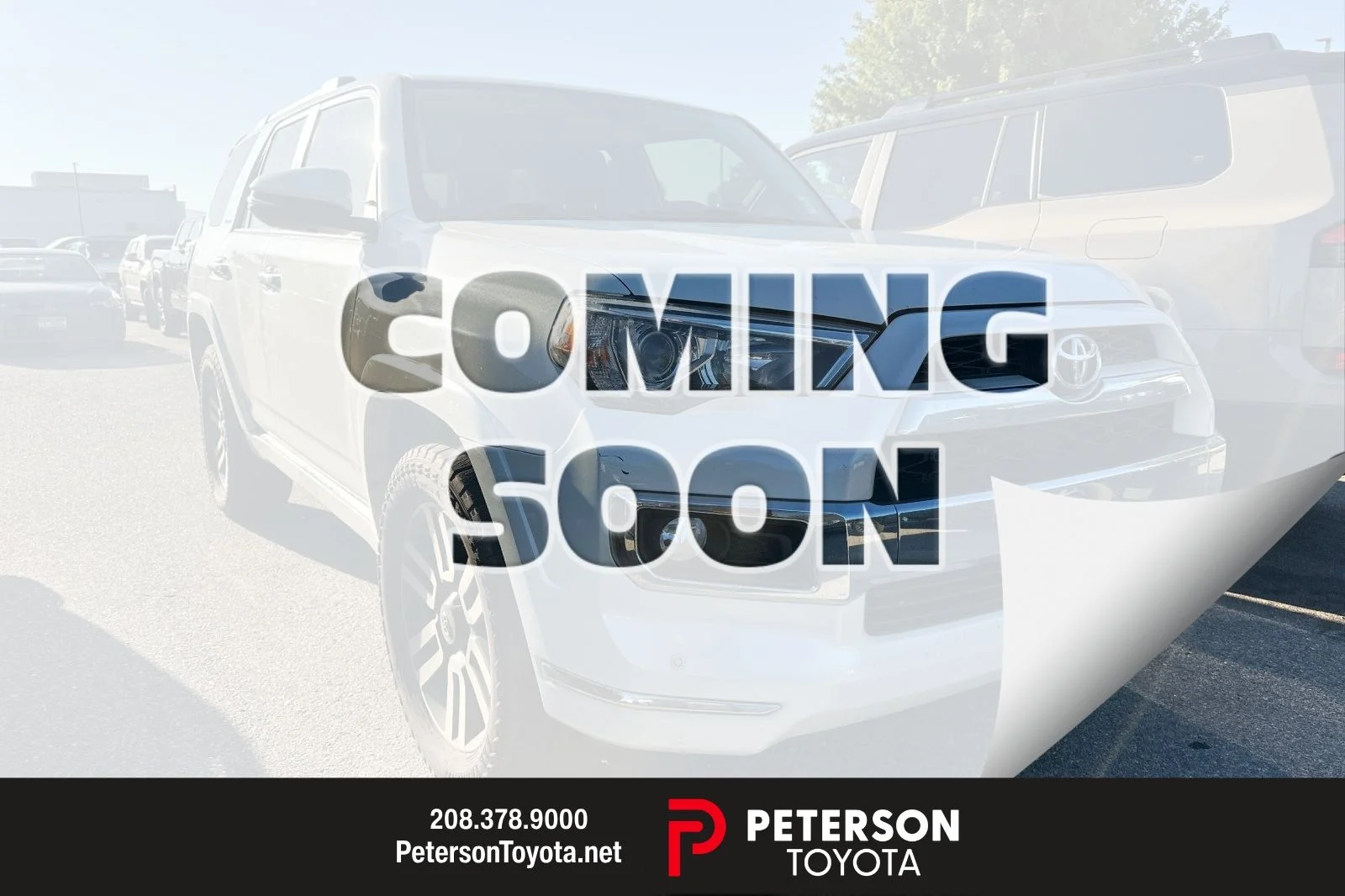 Used 2019 White Toyota Limited image 1