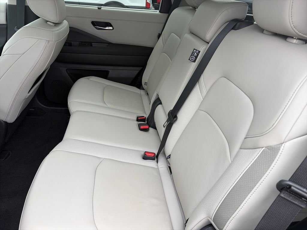 Used 2025 Black Nissan SL image 30