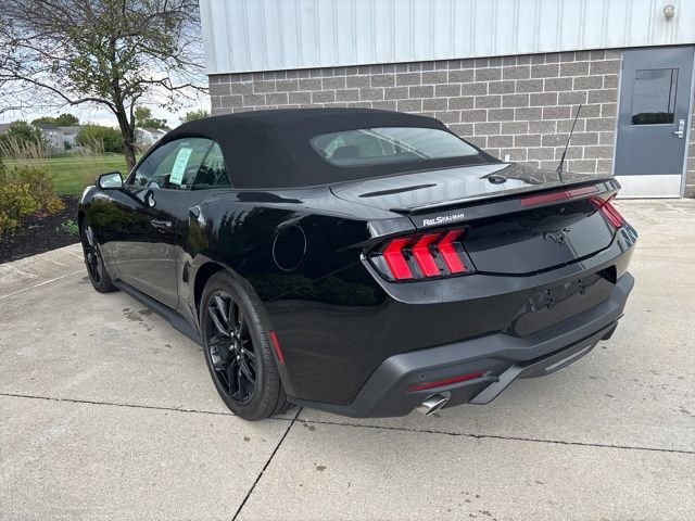 New 2025 Shadow Black Ford EcoBoost Premium image 8