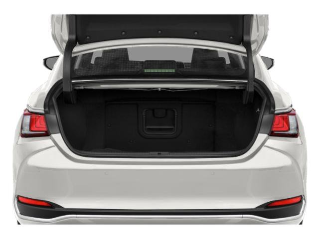 Used 2019 Caviar Lexus 300h Luxury image 11