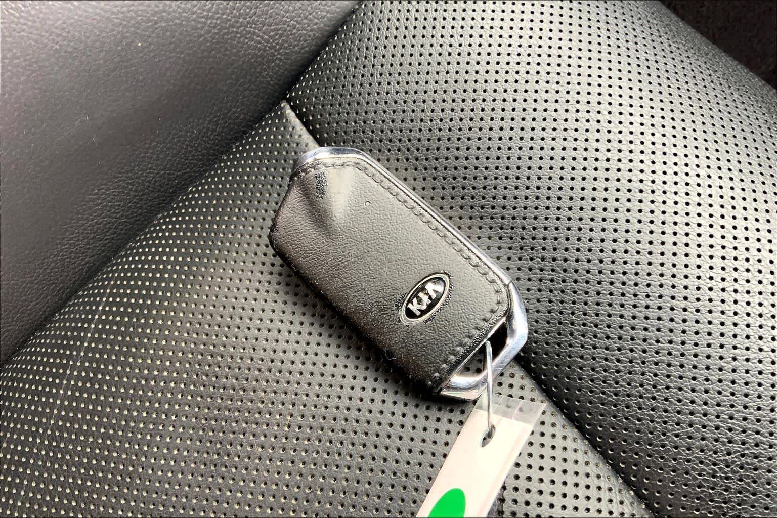Used 2019 Panthera Metal Kia GT image 14