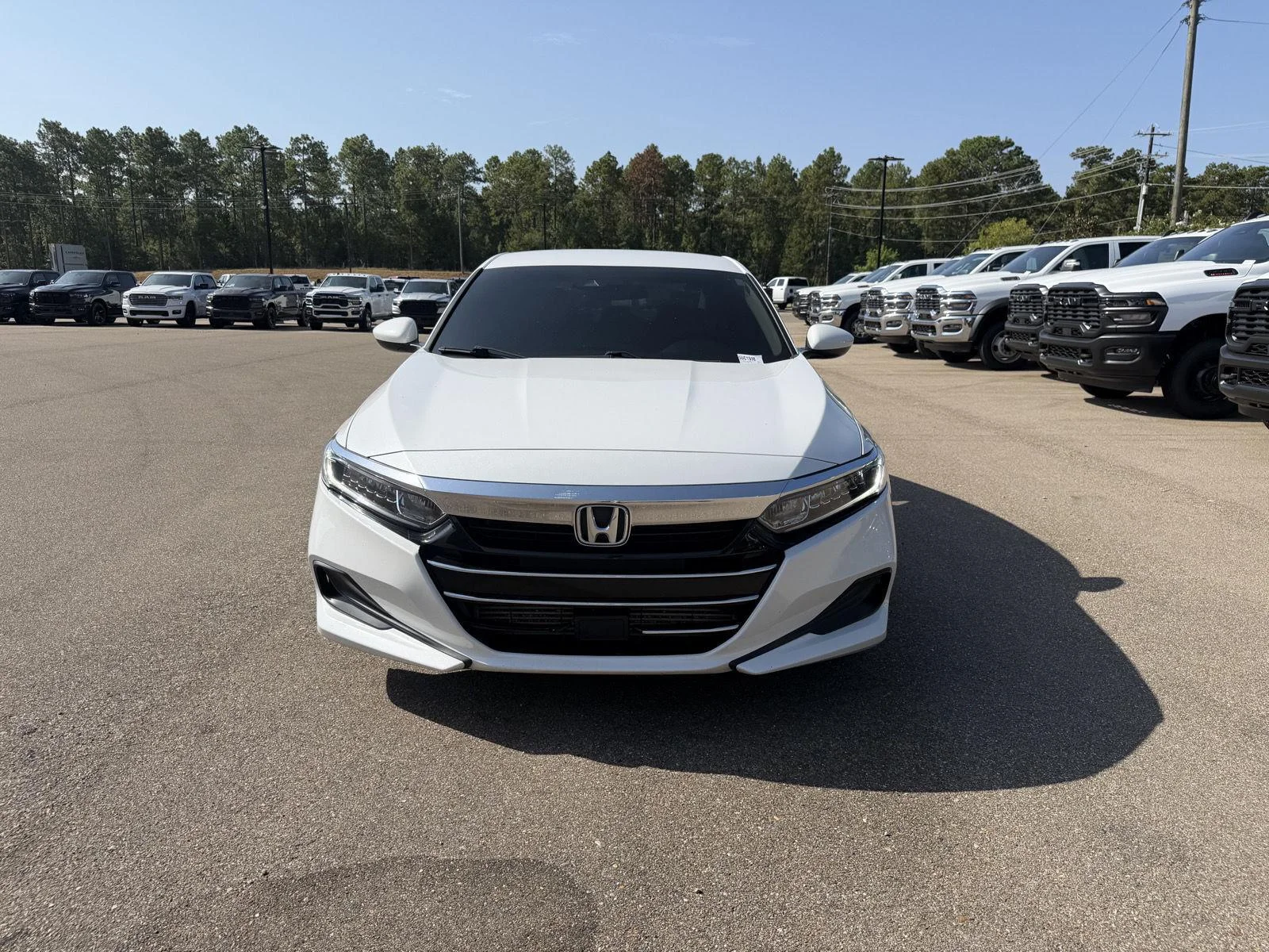 Used 2021 Platinum White Pearl Honda LX image 2