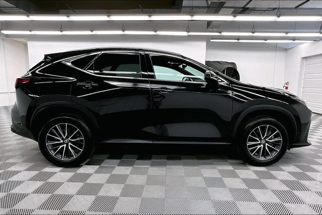 2024 Lexus NX 250 - Photo 15