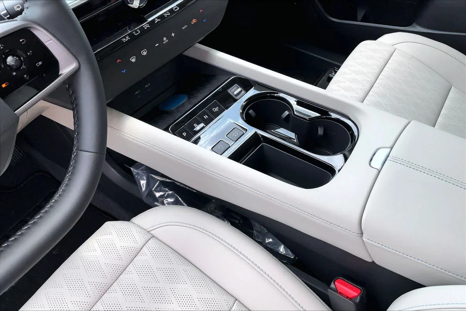 New 2026 Super Black Nissan Platinum image 7