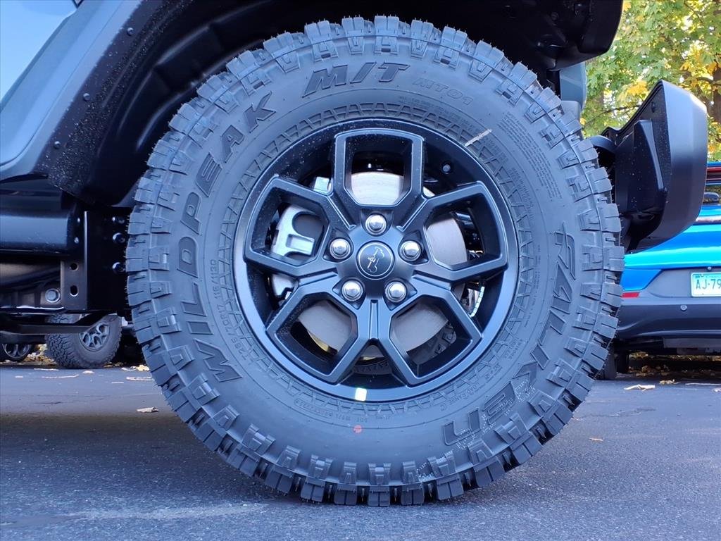 New 2026 Anvil Clear-Coat Exterior Paint Jeep Willys image 9