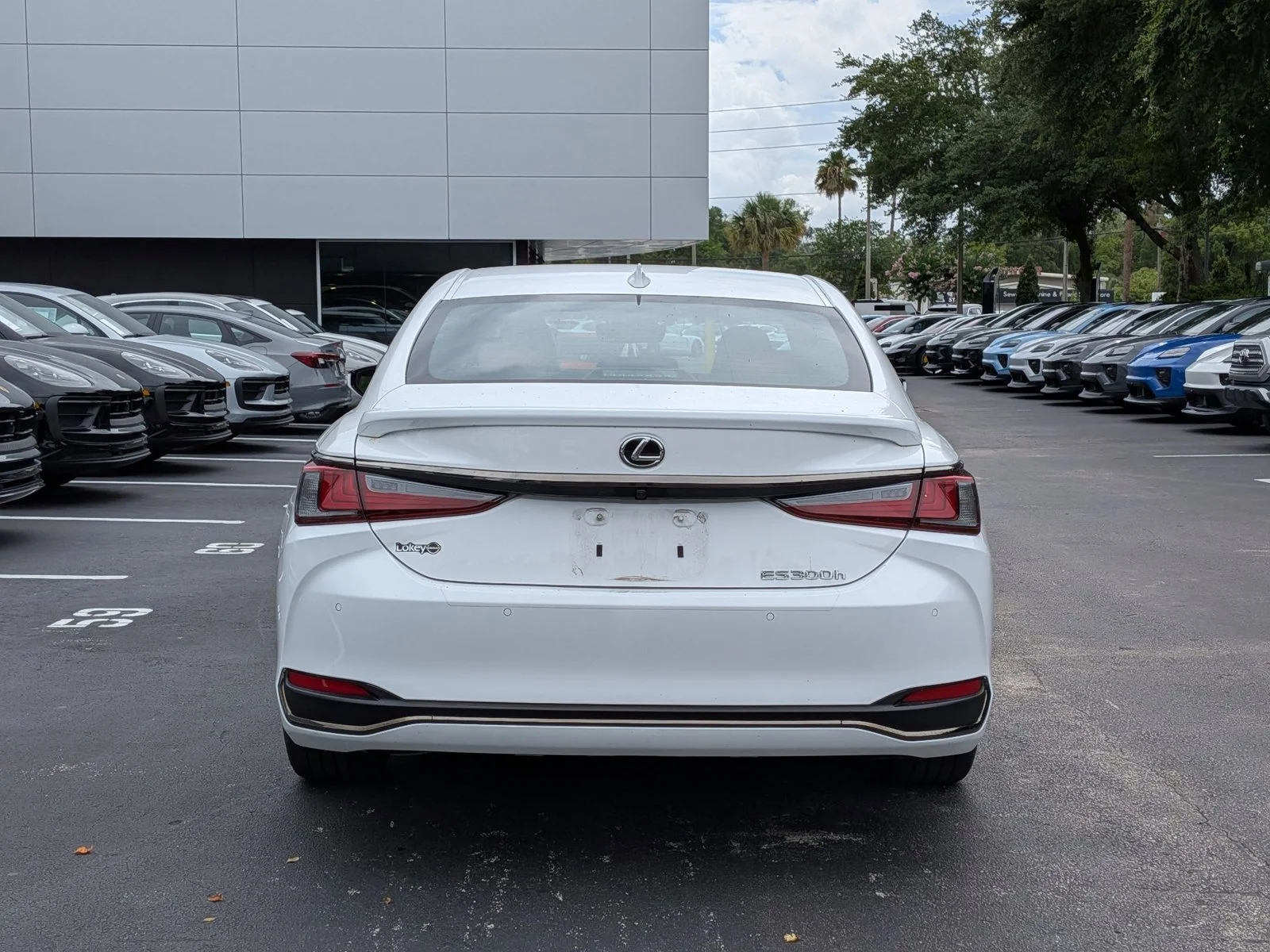 Used 2024 Ultra White Lexus ES 300h F SPORT Handling image 9