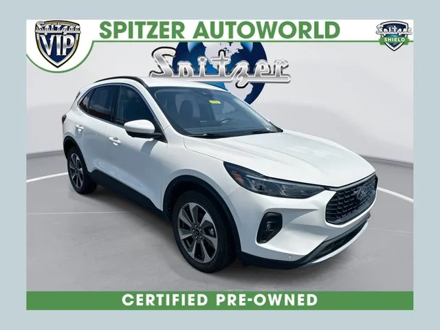 Used 2024 White Ford Platinum image 1