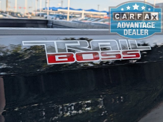 2025 Chevrolet Silverado 1500 Custom Trail Boss - Photo 35