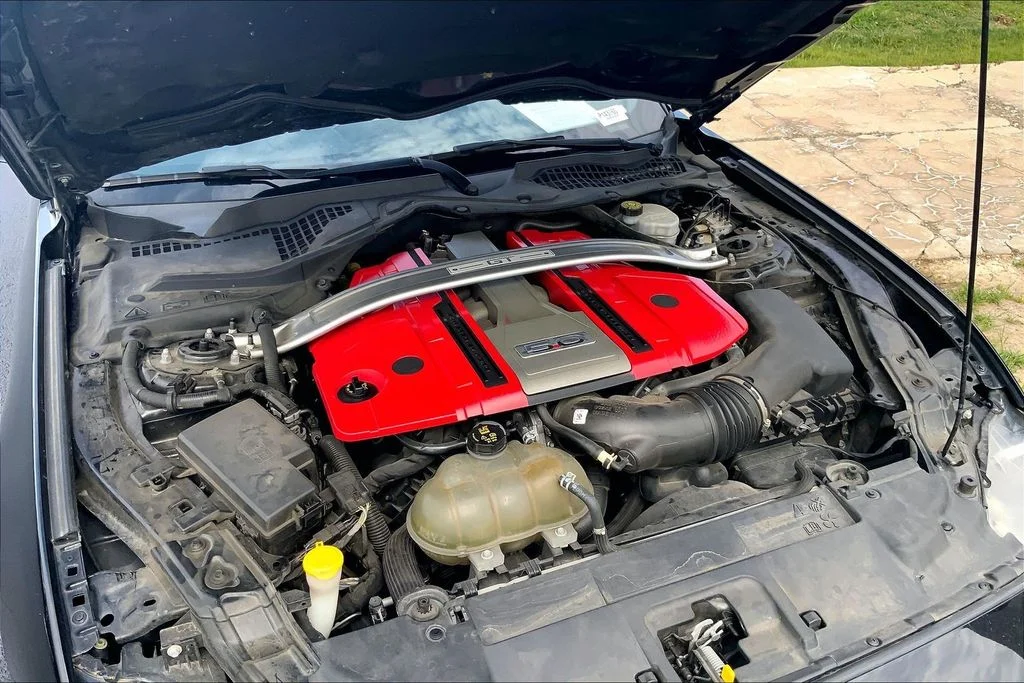 Used 2019 Black Ford GT image 11