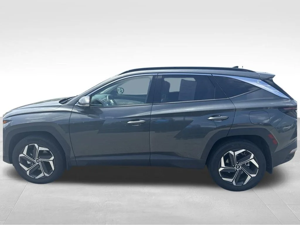 Used 2024 Amazon Gray Hyundai Limited image 4