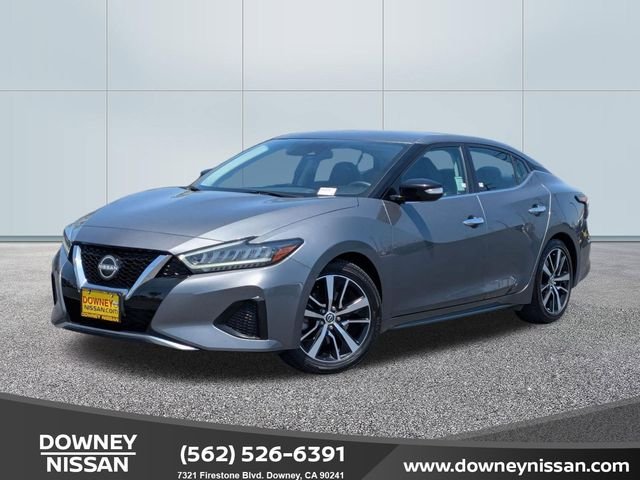 2023 Nissan Maxima SV's photo