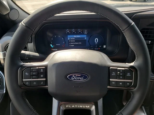 New 2026 Gray Metallic Ford Platinum image 31