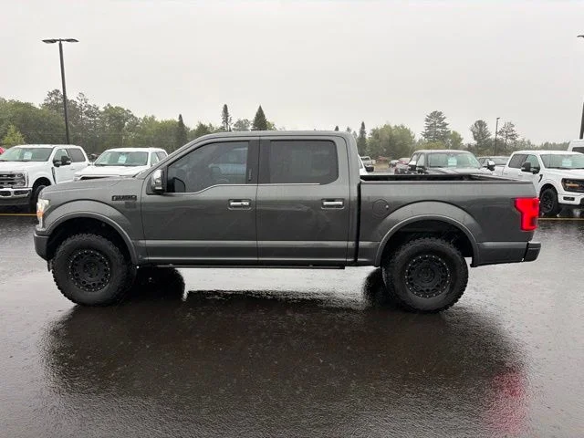 Used 2019 Ford F-150 Platinum with VIN 1FTEW1E58KFB27075 for sale in Pine River, Minnesota