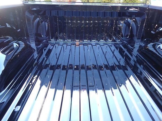 New 2026 Diamond Black Crystal Pearl-Coat Exterior Paint RAM Big Horn/Lone Star image 4